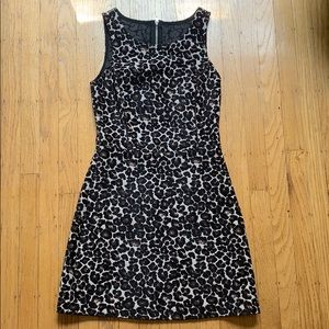 Leopard Dress with Cut Out Back